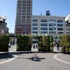 Gardening, Urban Farming Tips And More At Union Square